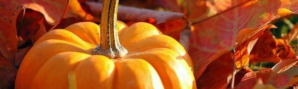 Сегодня – День осеннего равноденствия