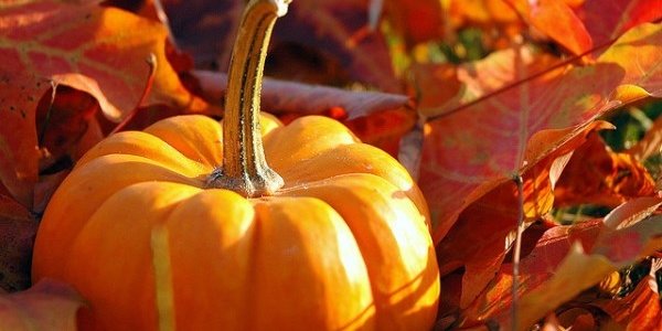 Сегодня – День осеннего равноденствия