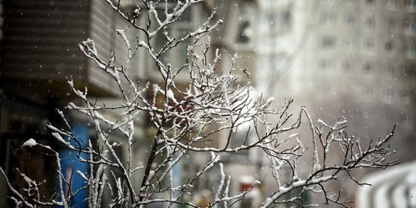 Завтра в Приморье пройдёт небольшой снег с дождём