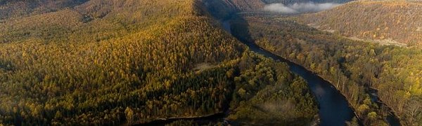 Национальный парк «Бикин» в Приморье включили в список Всемирного наследия ЮНЕСКО