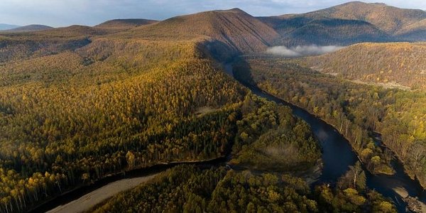 Национальный парк «Бикин» в Приморье включили в список Всемирного наследия ЮНЕСКО