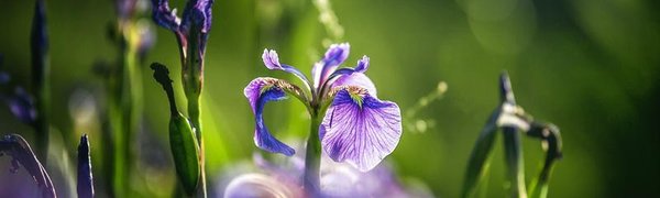 Температурный фон в Приморье будет понижаться