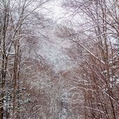 Снегопады и похолодание в Приморье идут на спад