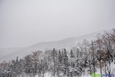Снегопады и похолодание в Приморье идут на спад