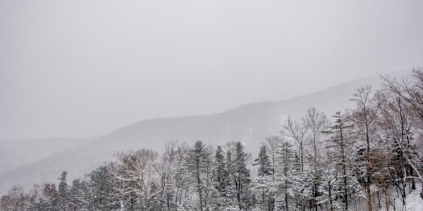 Снегопады и похолодание в Приморье идут на спад