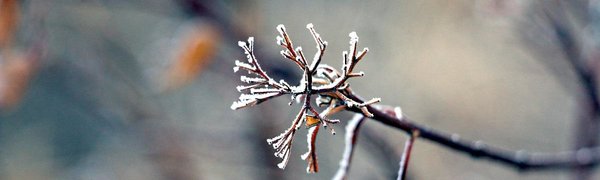 Морозы до −30 °C: зима в Приморье не собирается сдаваться