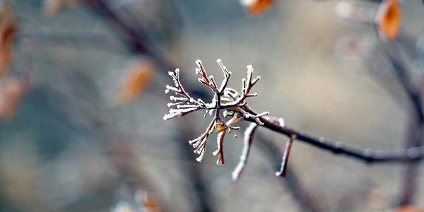 Морозы до −30 °C: зима в Приморье не собирается сдаваться