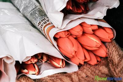 8 марта в Приморье существенных осадков не ожидается