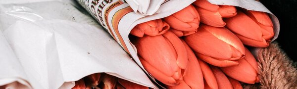 8 марта в Приморье существенных осадков не ожидается