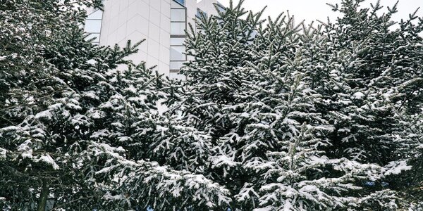 Небольшие осадки ожидаются в Приморье в ближайшие сутки