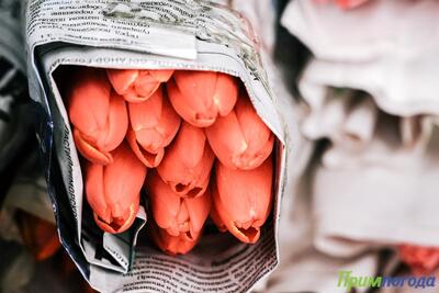 8 марта порадует приморцев хорошей погодой