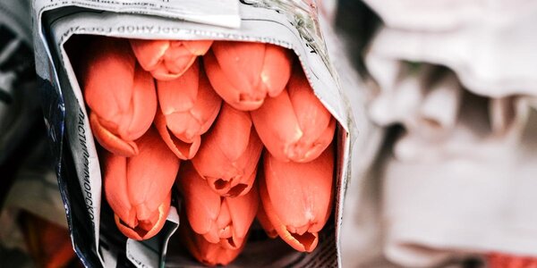 8 марта порадует приморцев хорошей погодой