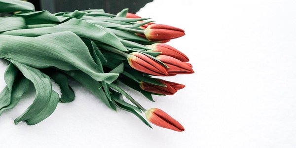 Мартовские снегопады были самыми интенсивными с начала года в Приморье