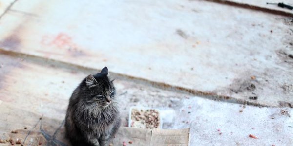 Во второй половине недели осадки в Приморье прекратятся, похолодает