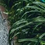 Во вторник характер погоды в Приморье не изменится