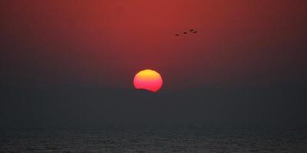 Сегодня в Приморье затишье перед непогодой