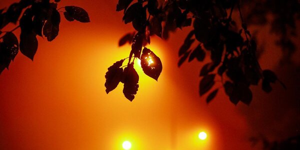 Туман с моросью пока не покидает побережье Приморья