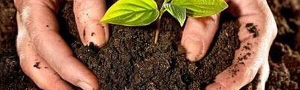 Внимание! В Спасском и Кировском районах верхний слой почвы переувлажнен