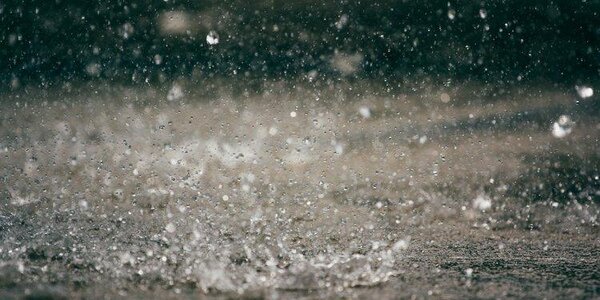 Почти месячная норма осадков за сутки выпала в Ольгинском районе