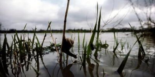 Реки южной половины Приморья выходят из берегов