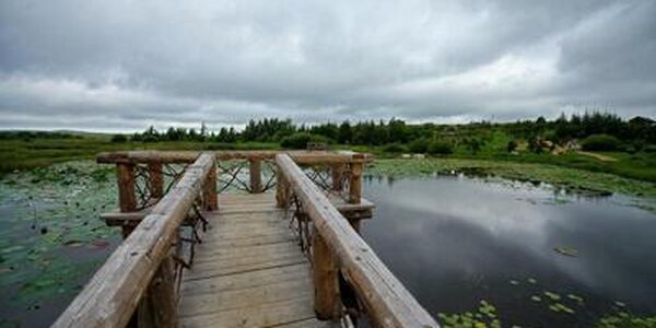 На выходных на реках Хасанского района общий подъем воды составил 3 м