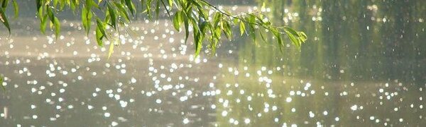 В понедельник больше всего осадков выпало на севере Приморья