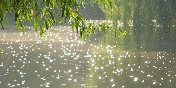 В понедельник больше всего осадков выпало на севере Приморья