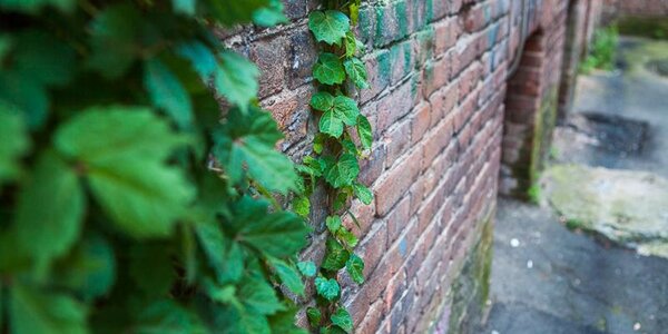 Чем дышал Владивосток с 1 по 11 июля?