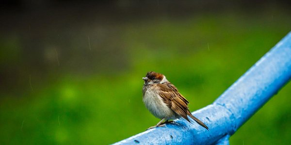 Завтра погода в Приморье ненадолго улучшится