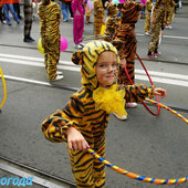 День Тигра во Владивостоке(ФОТО)