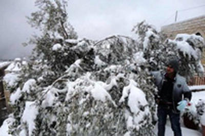 Ливан оказался под ударом снежного шторма Алекса