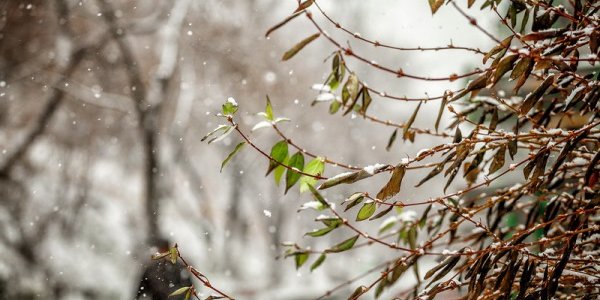 На Приморье обрушился циклон
