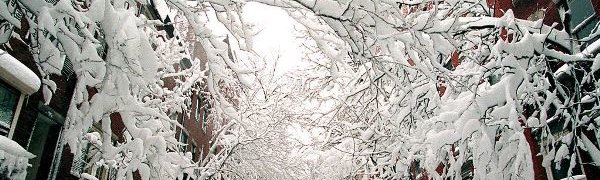 В США бушует зимний шторм