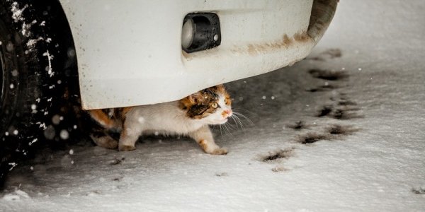 МЧС Приморья просит жителей края не выезжать на дороги без надобности