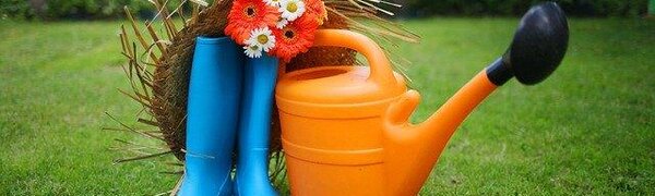 Какие документы потребуются жителям Приморья для поездки на дачу во время самоизоляции