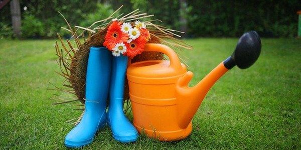 Какие документы потребуются жителям Приморья для поездки на дачу во время самоизоляции