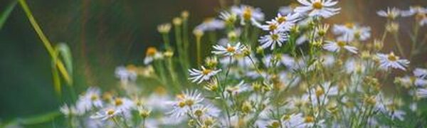 Синоптики опубликовали долгосрочный прогноз на лето в России