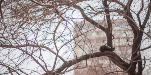 Завтра в Приморье ожидается ухудшение погодных условий