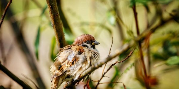 Сегодня ночью в Приморье возможны первые заморозки