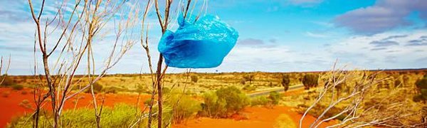 В Кении за использование полиэтиленовых пакетов будут сажать в тюрьму