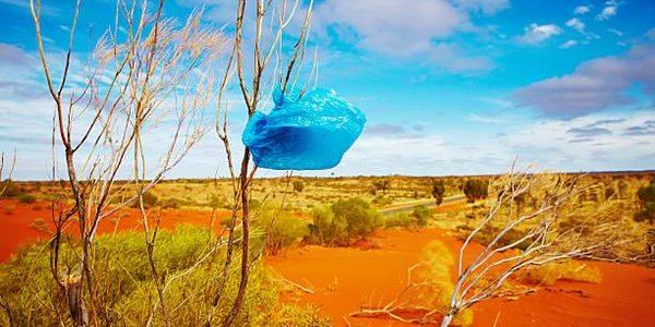 В Кении за использование полиэтиленовых пакетов будут сажать в тюрьму