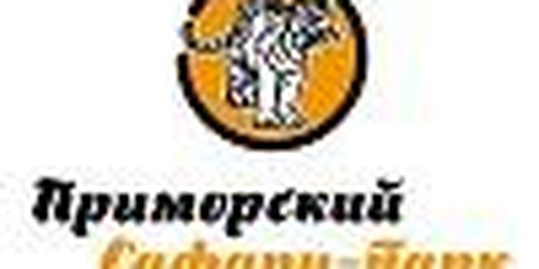 Чернобурка в «Приморском Сафари-парке»