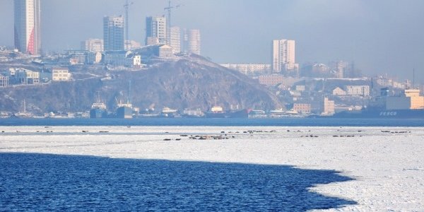 Чем дышал Владивосток с 1 по 10 декабря?