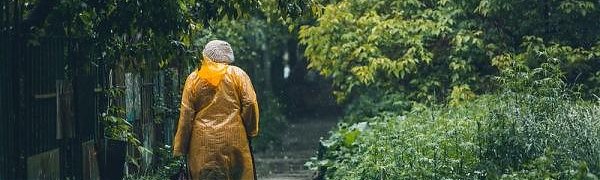 В Приморье ожидаются ливневые дожди и грозы