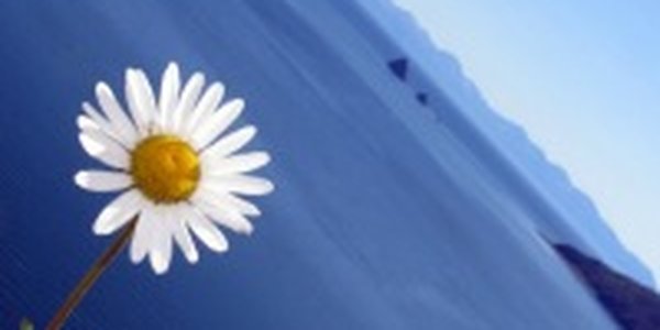 Суббота будет дождливой, воскресенье — без осадков