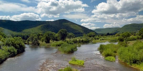 На большинстве рек Приморья ожидается спад уровней воды