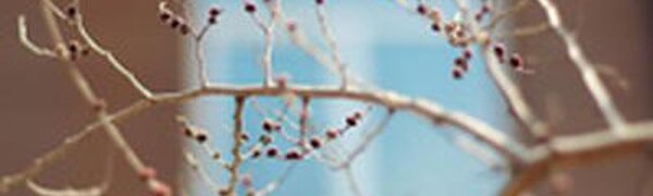 Прошедшие выходные были в Приморье экстремально теплыми