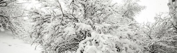 До 88 см увеличилась высота снежного покрова на северо-востоке Приморья