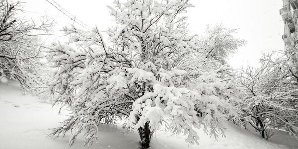 До 88 см увеличилась высота снежного покрова на северо-востоке Приморья