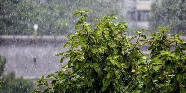 В Приморье 5 сентября начнутся дожди с полярным фронтом, 6 сентября придет тайфун «Хиннамнор»